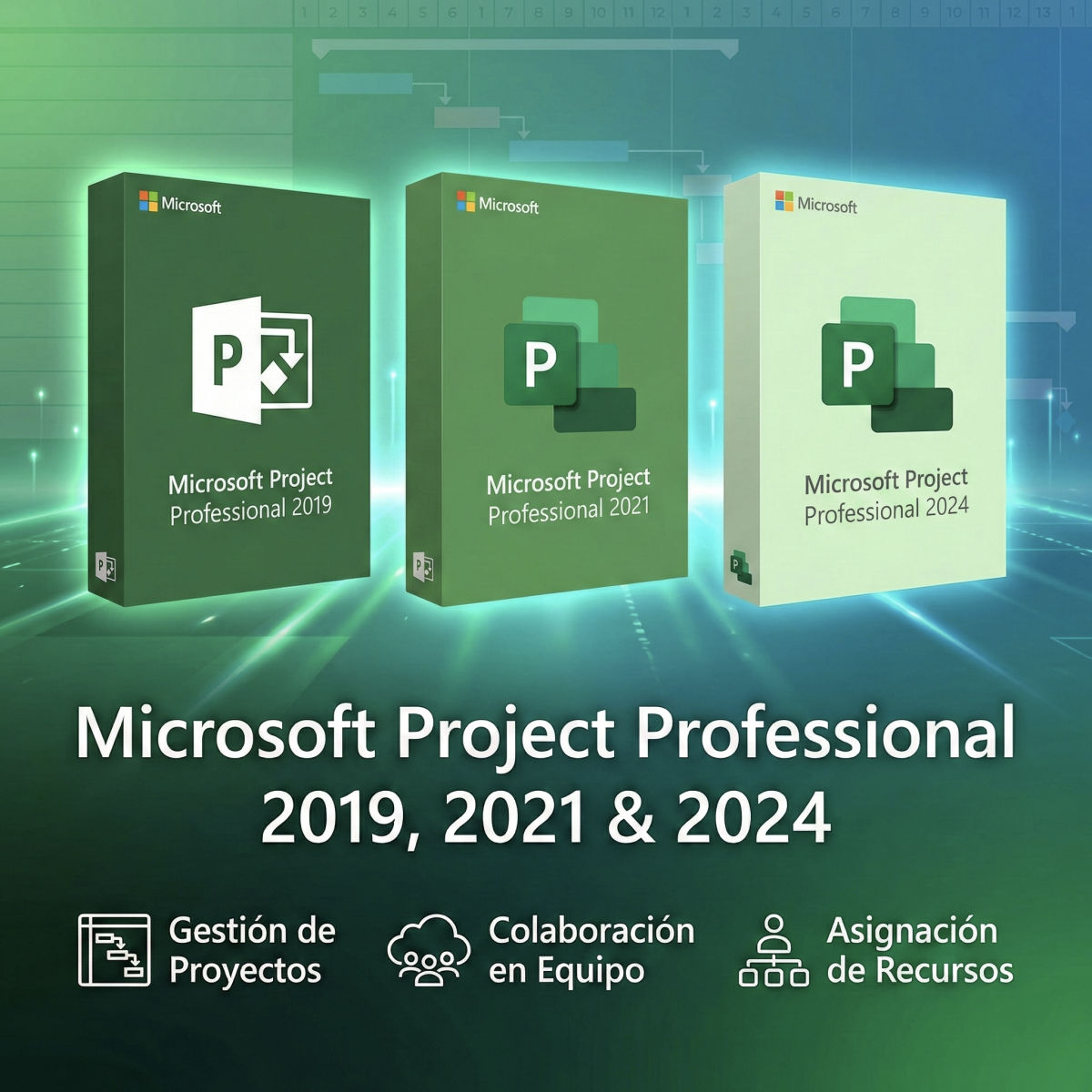 Microsoft Project Professional