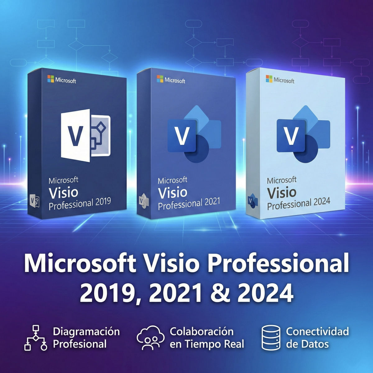 Microsoft Visio Professional